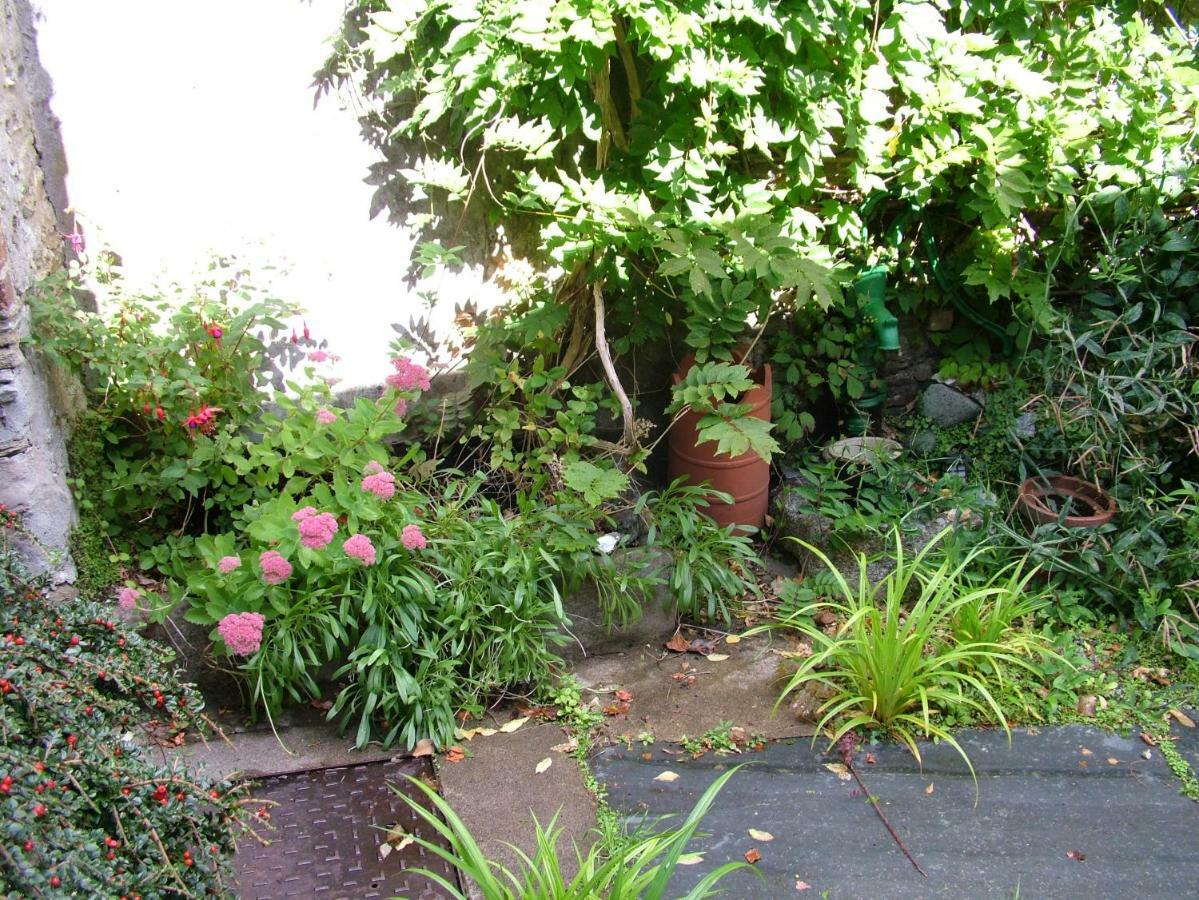 Geranium Cottage, Lostwithiel Εξωτερικό φωτογραφία
